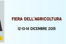 fiere-s-lucia-720×181