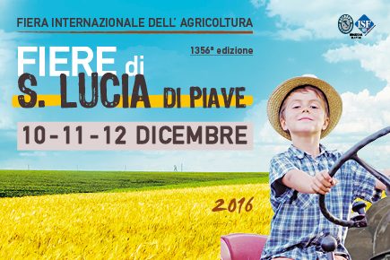 FSL_img_evidenza_440x290