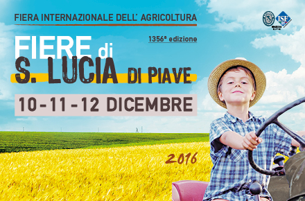 FSL_img_evidenza_440x290